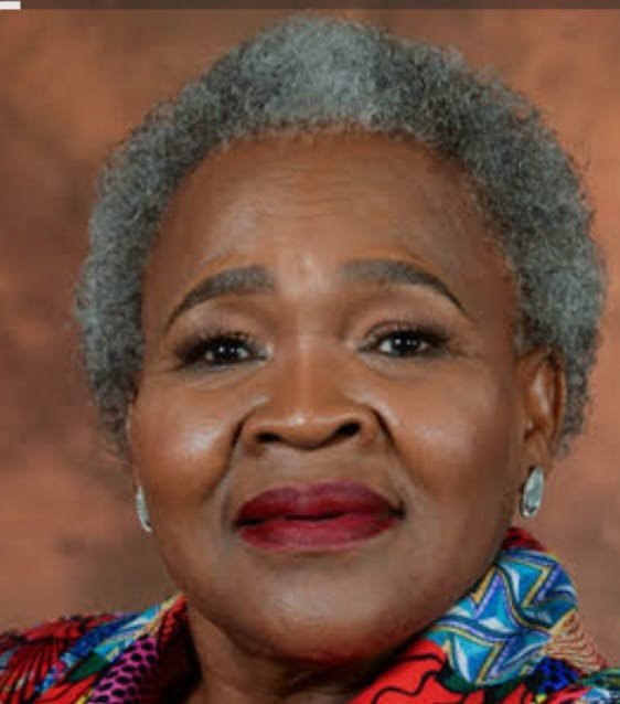 MEHMET VEFA DAG -Cape Town Mayor Candidate tweet media