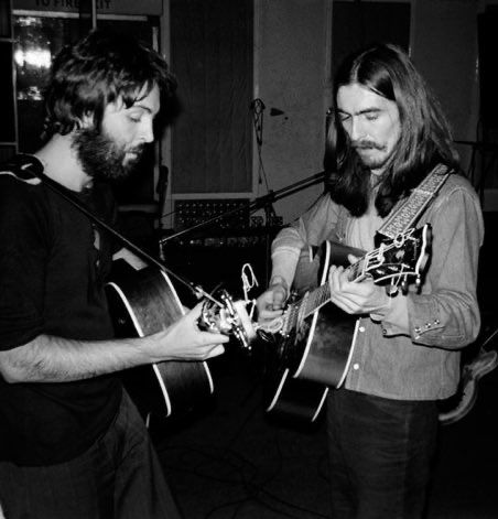 ana birkin ⋆ ౨ৎ 🐦‍⬛ tweet media