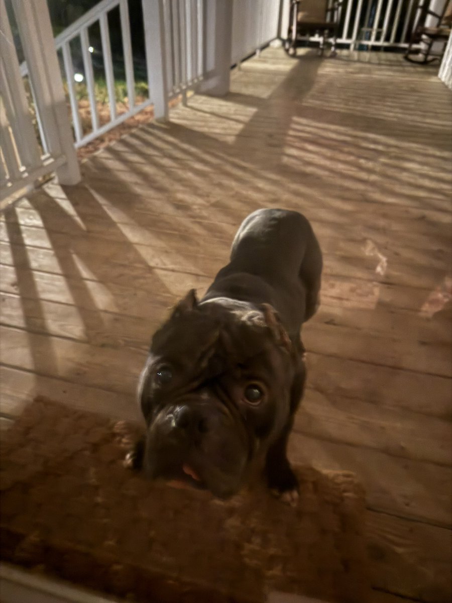 Grant R. Castleberry tweet media