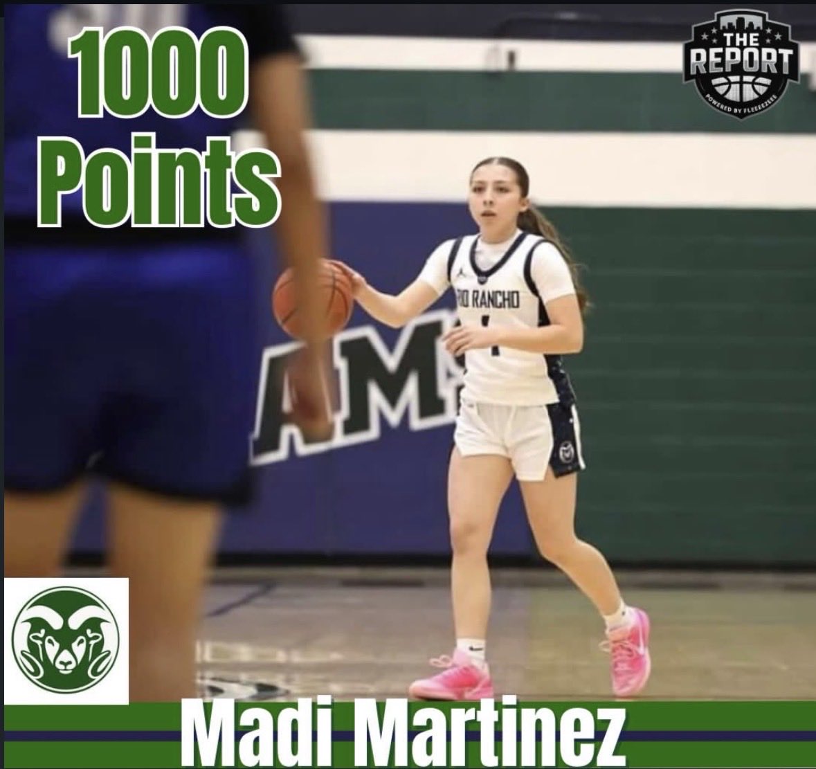 Madilynn Martinez tweet media