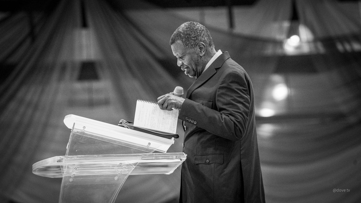 Dove Television tweet media