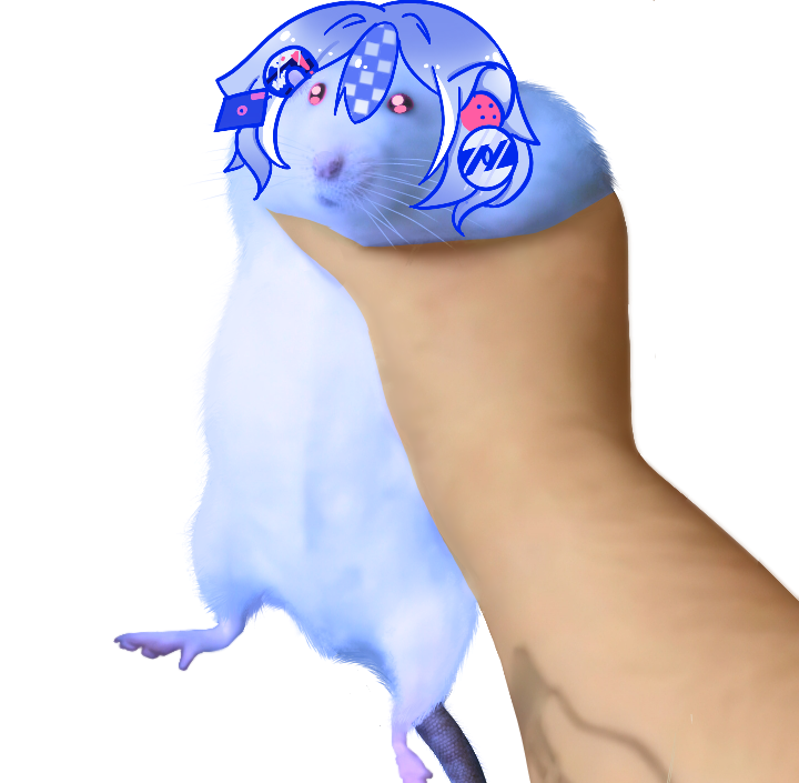 Remi,Set,Go! 💿🐁 tweet media