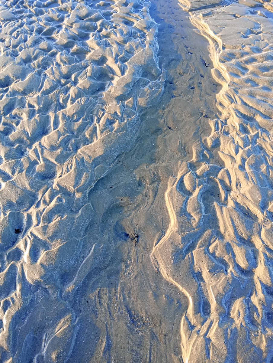 1984_Annibyniaeth! tweet media