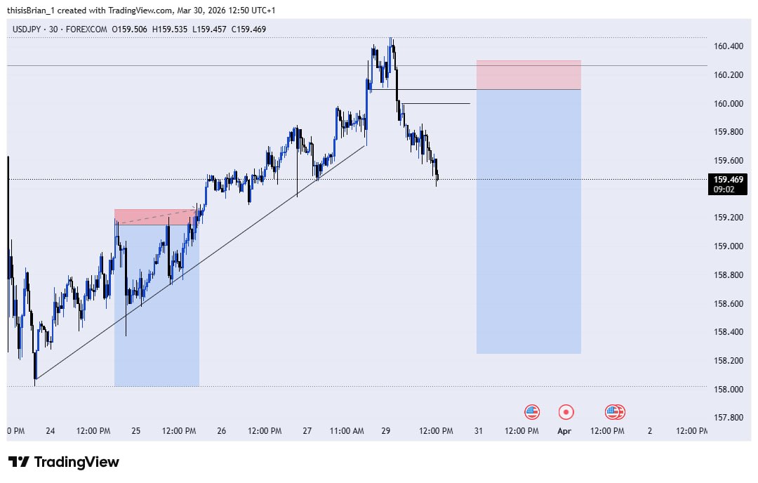๐ญ๐๐๐๐๐ tweet media