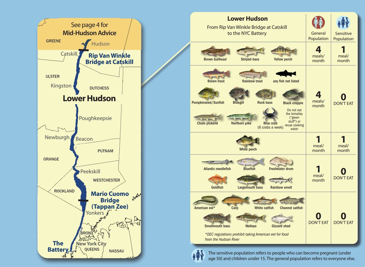 Steven Bognar tweet media