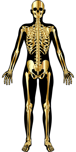 直哉｜fx @NAOYA_Nfx tweet media