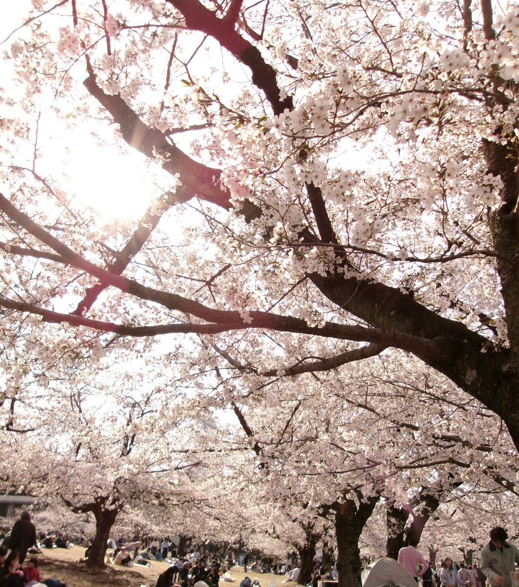 ともちん0227⛩ tweet media