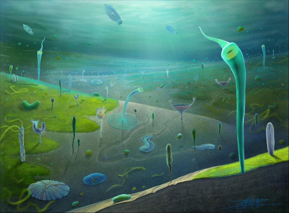 MENAFN's tweet image. Humans' Closest Invertebrate Ancestors Date Back Much Further Than Thought How We Discovered The Fossils That Show This #Humans' #Closest #Invertebrate #Ancestors #Date #Back #Much #Further #Than #Thought #Discovered #Fossils #That #Show #This #USA… dlvr.it/TRrMFs