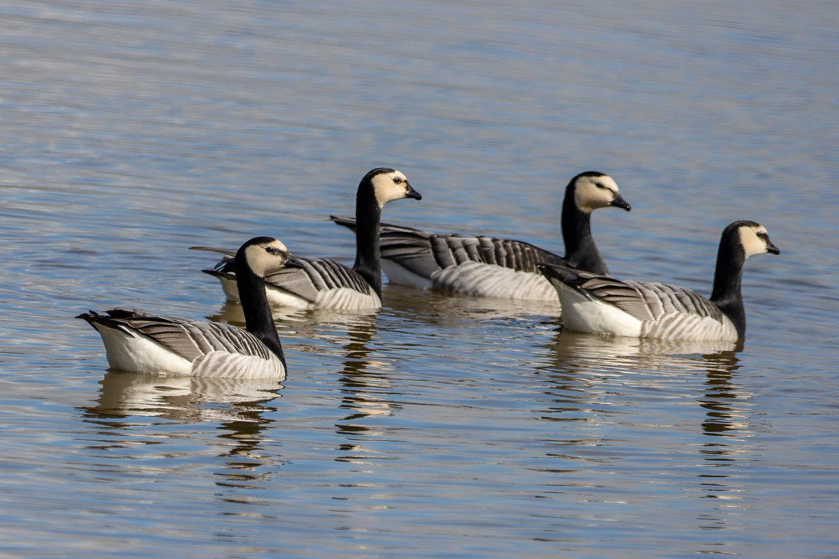 Phil Ray tweet media