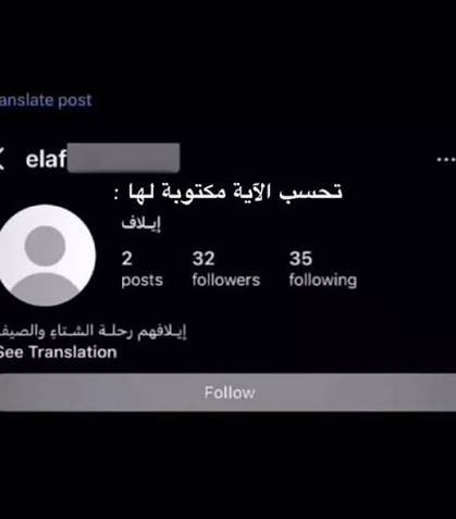 sky alsharif tweet media