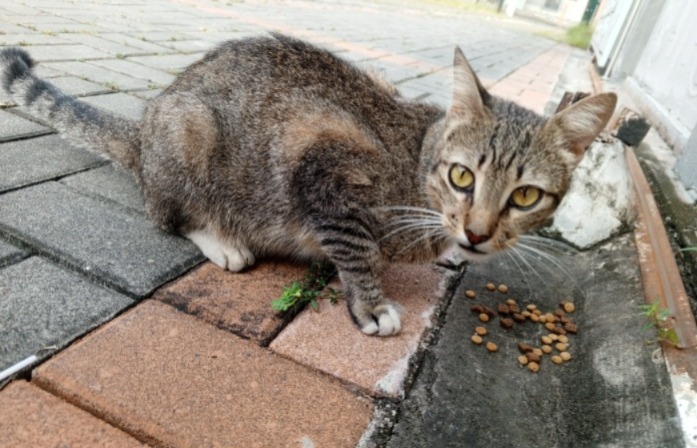 Alerta me perdi tweet media