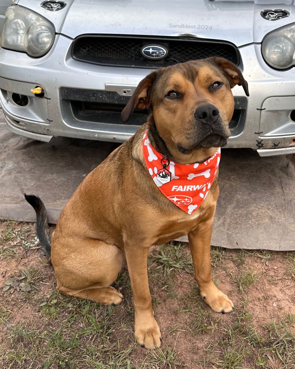 Fairway Automotive Group tweet media