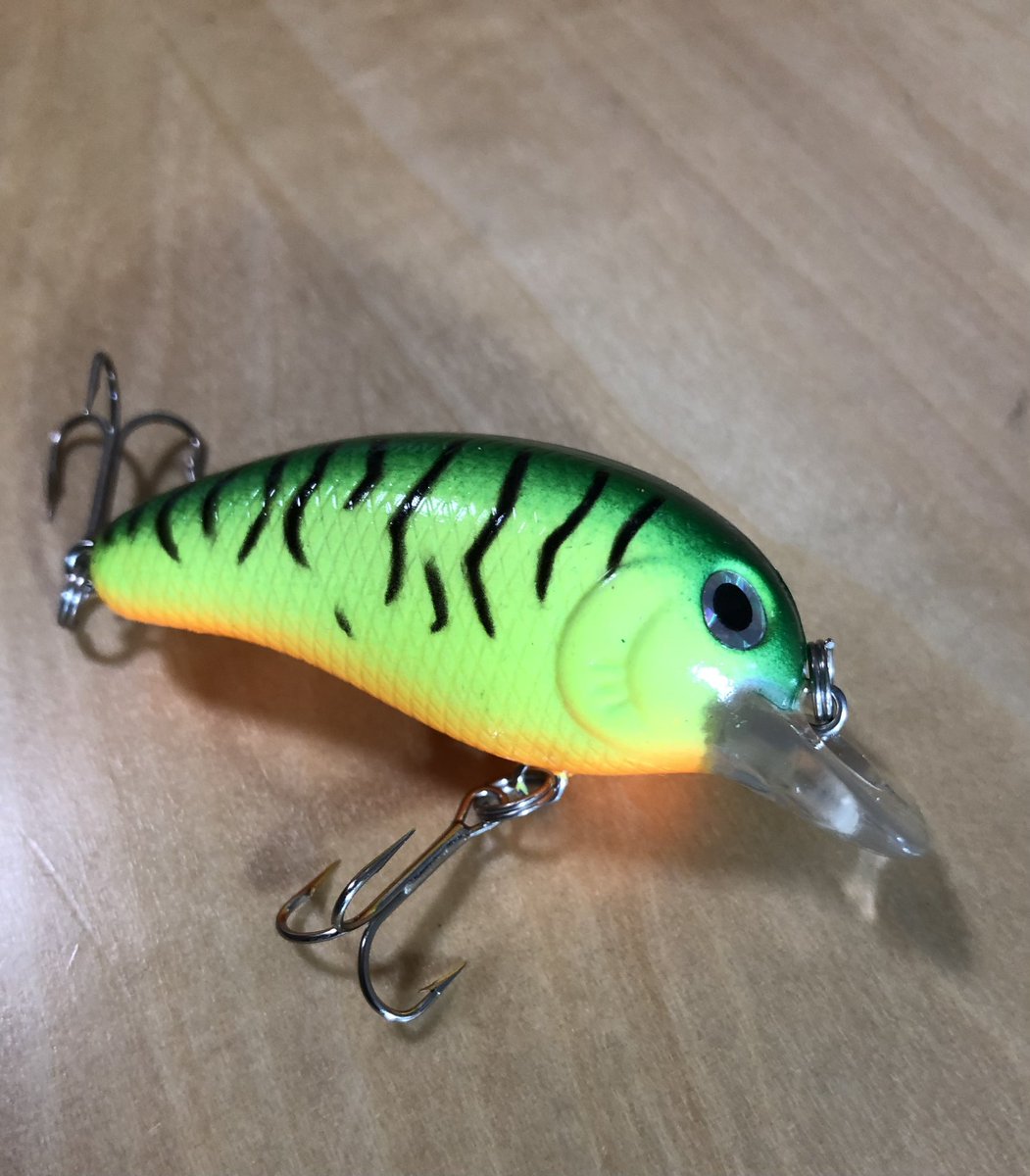 ぼっち🎣 tweet media