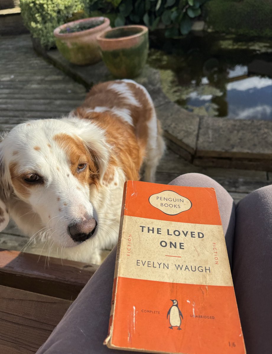 Dr Ally Louks tweet media