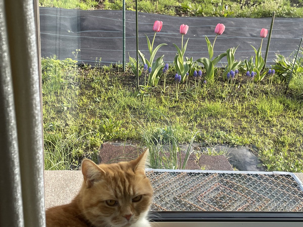 masamasa@横須賀キックス乗り⚡️ tweet media