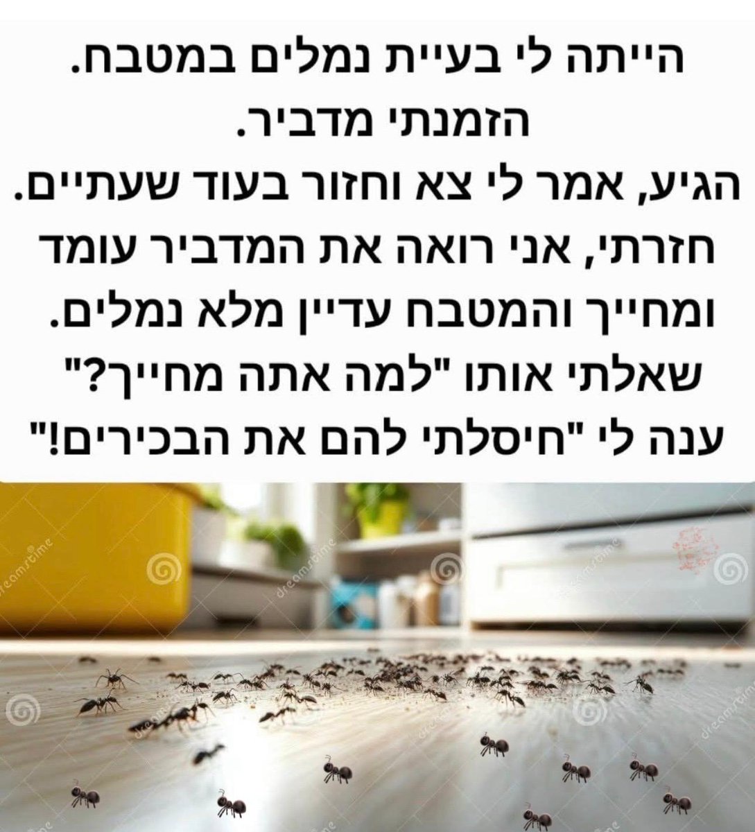 😎Danielle Be😎 tweet media