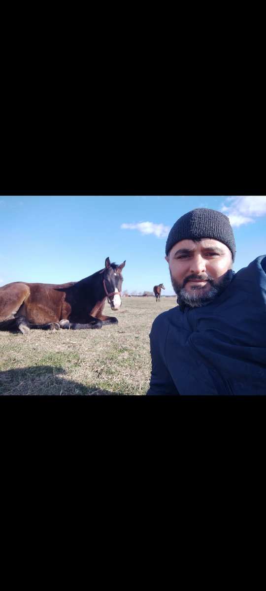VetBrothers At Çiftliği tweet media