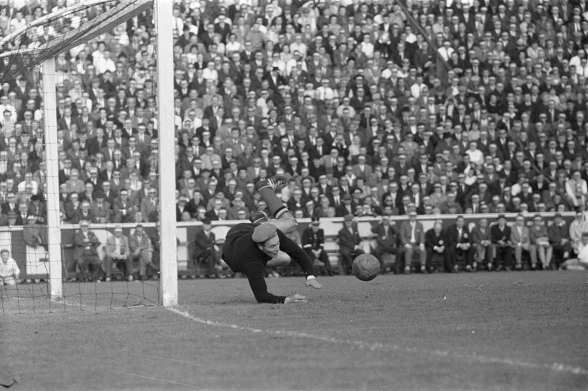 GoaliesAreDifferent tweet media