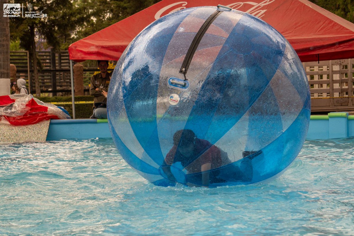 REDMichoacán tweet media