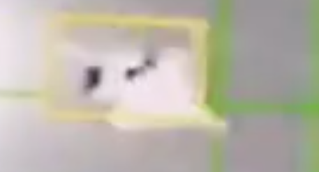 Thomas Keith tweet media