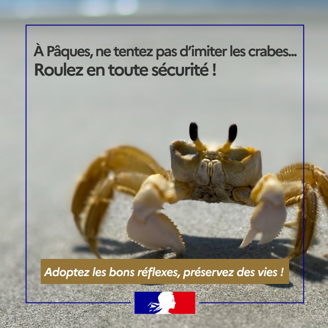 Image de Préfet de Guadeloupe : #SécuritéRoutière | 🦀 ⛺Pâques, profitons - oui mais sans risque sur la route !
Pour que ces moments