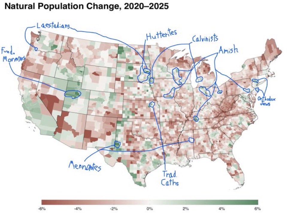 Zachary Donnini tweet media