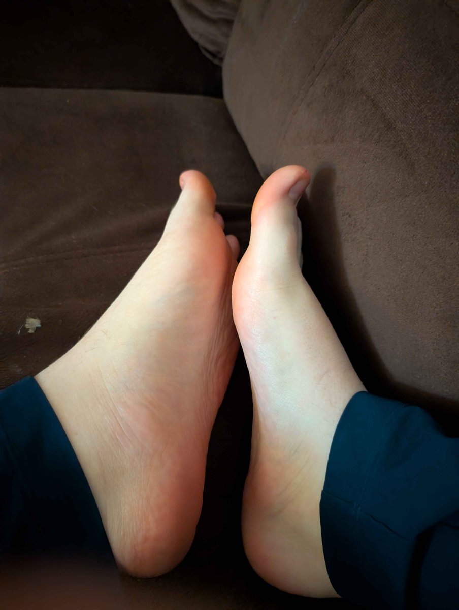 Lili Fox Paws tweet media