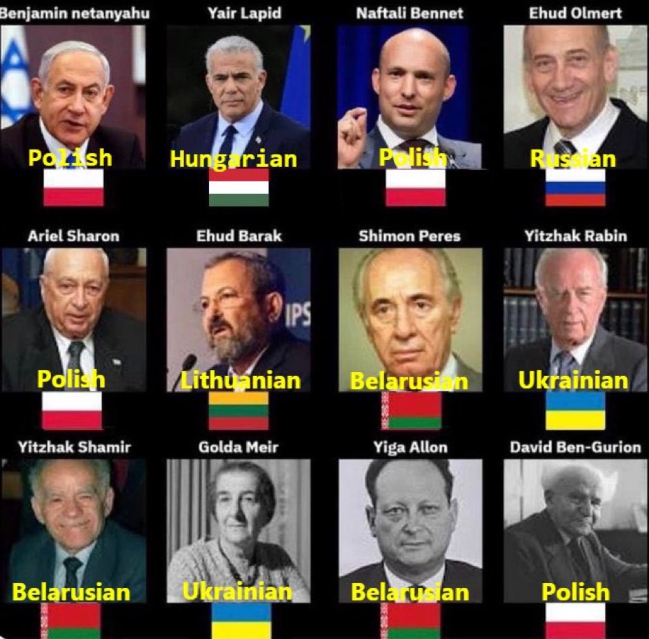 فريد 🇵🇸 tweet media