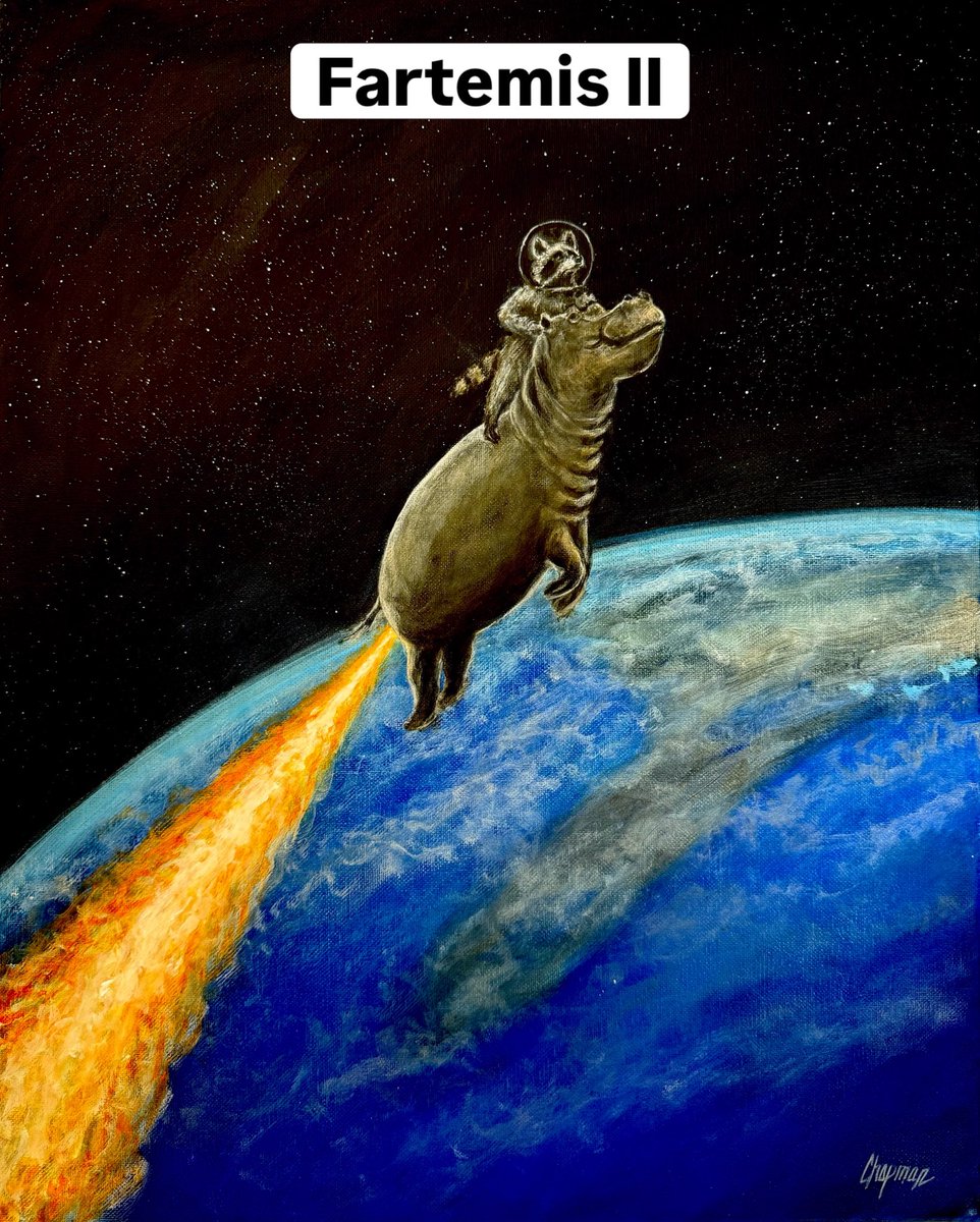 Travis Chapman tweet media