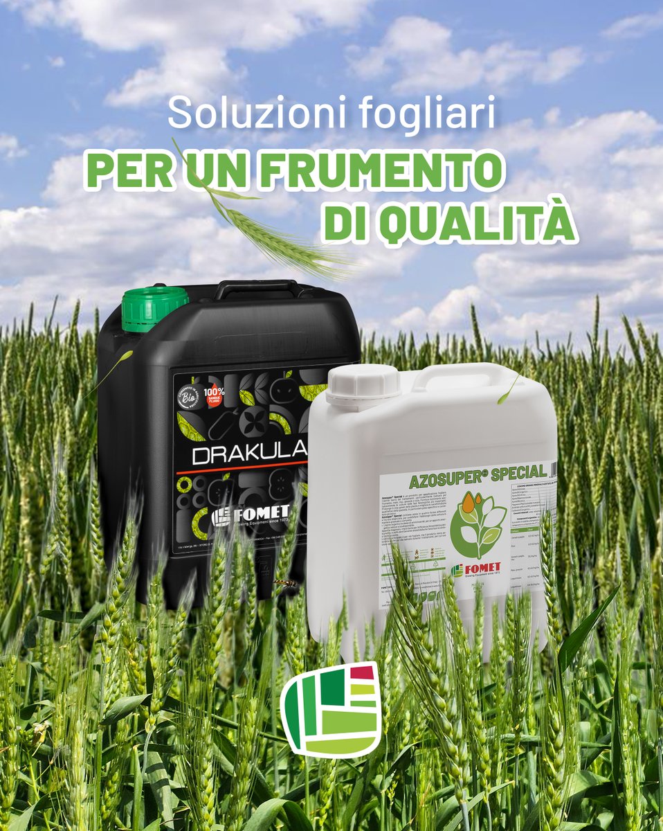 fometfert's tweet photo. Per un frumento di qualità:

➡Azosuper® Special
• Nutrizione azotata graduale e completa
• Migliora lo stay green e la qualità delle produzioni
➡Drakula®
• Migliora la resistenza agli stress abiotici
• Miglior contenuto proteico e peso specifico della granella

#fomet https://t.co/DjgW91iQg8