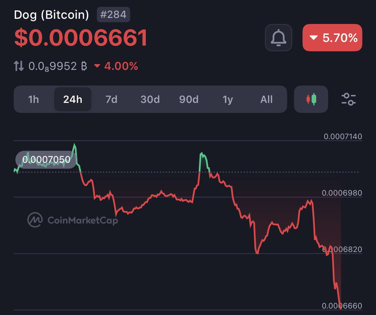 DOG•DA•MASSA tweet media