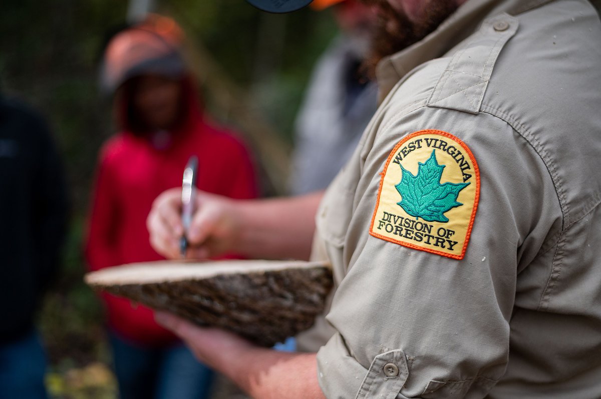 WV Forestry tweet media
