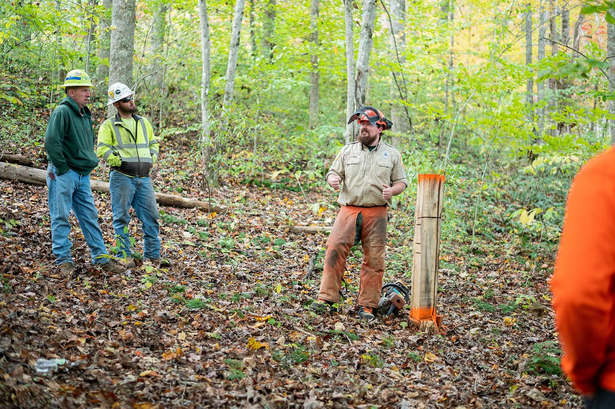 WV Forestry tweet media