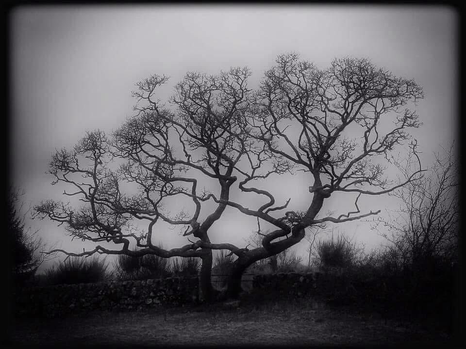 𝕮𝖍𝖗𝖎𝖘𝖙𝖎𝖓𝖆 𝖛. 𝖂𝖊𝖑𝖑𝖊𝖆𝖓 tweet media