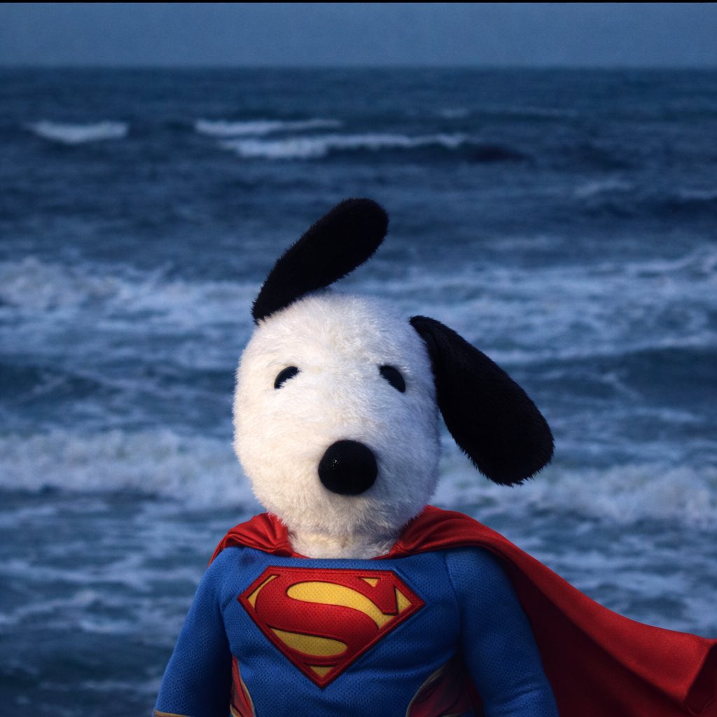 AllEyezOnMeSol tweet media