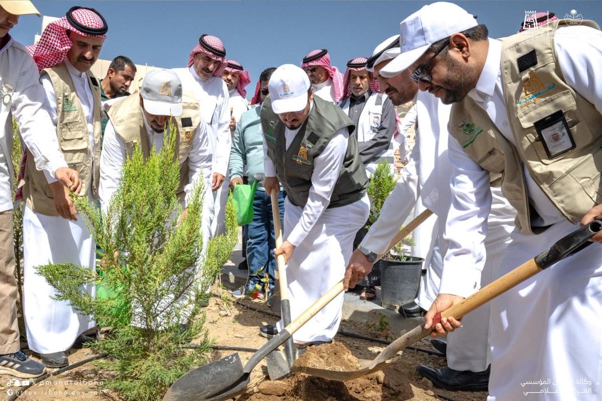 جمعية الباحة الخضراء tweet media