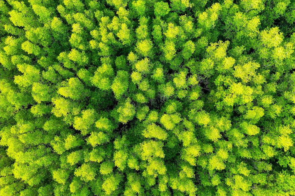 MENAFN's tweet image. Effective Storytelling Can Encourage Climate Action From Policymakers And The Public #Effective #Storytelling #Encourage #Climate #Action #Policymakers #Public #USA #Russia #Biden #Ukraine #War #Palestine #Gaza #Israel # dlvr.it/TRrMkN