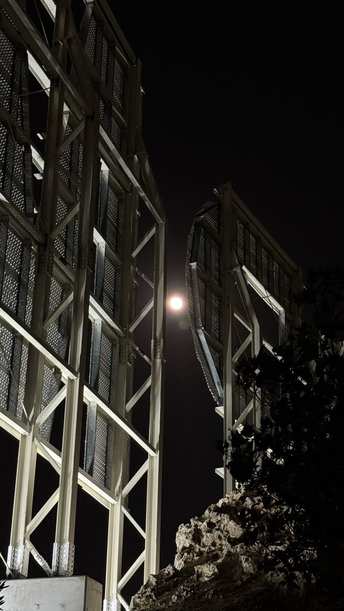 شهد العتيبي tweet media