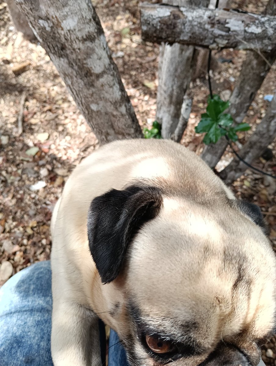 Fennell !! tweet media