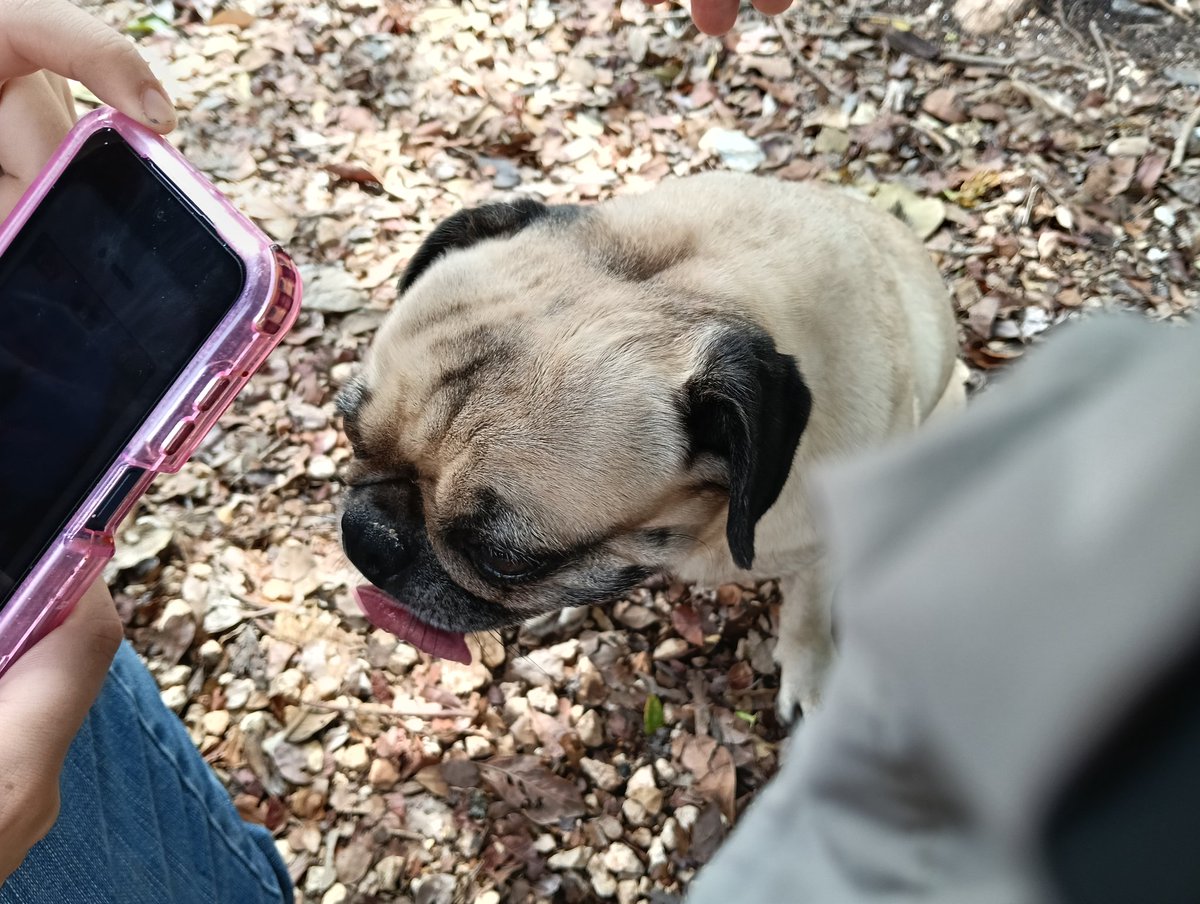 Fennell !! tweet media