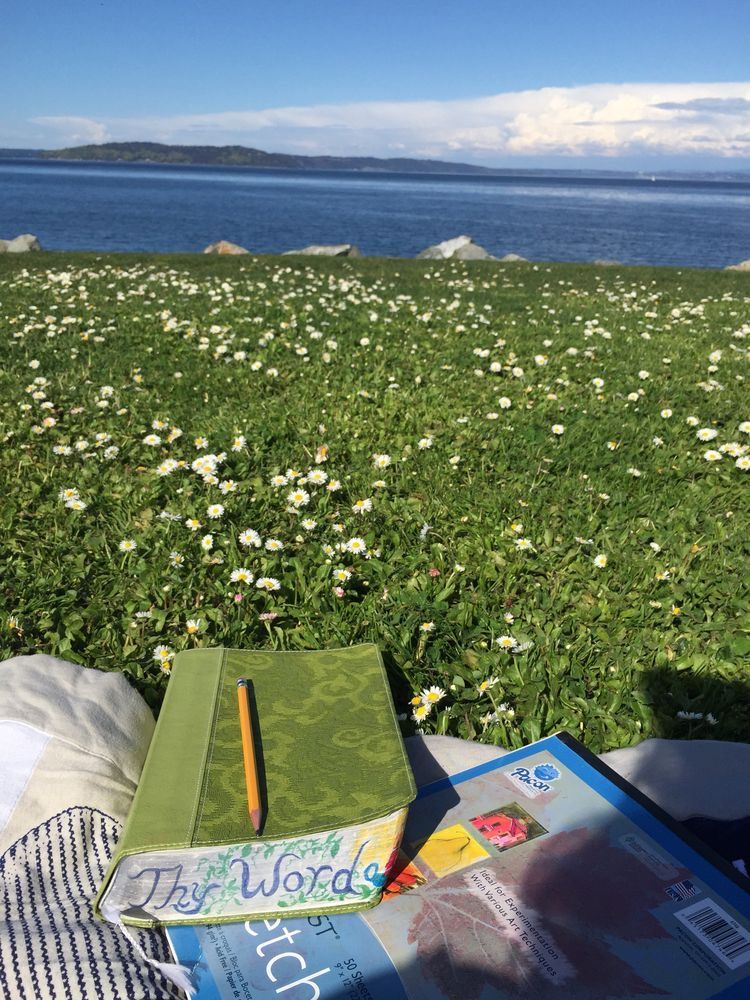 only aesthetic tweet media