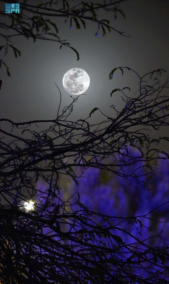 واس جودة الحياة tweet media