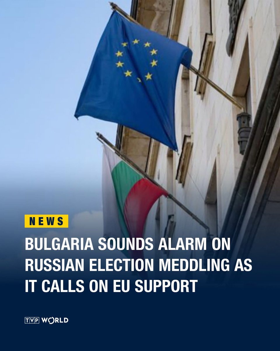 Nina 🐙 Byzantina tweet media