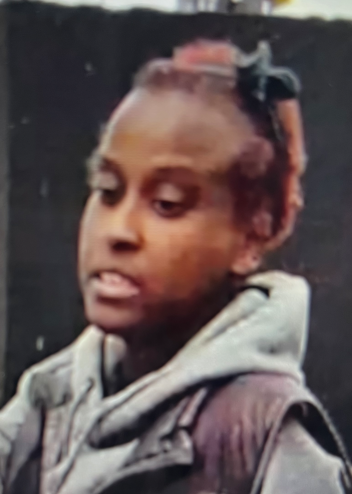 Toronto Police Operations tweet media