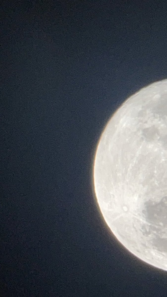 محمدّ tweet media