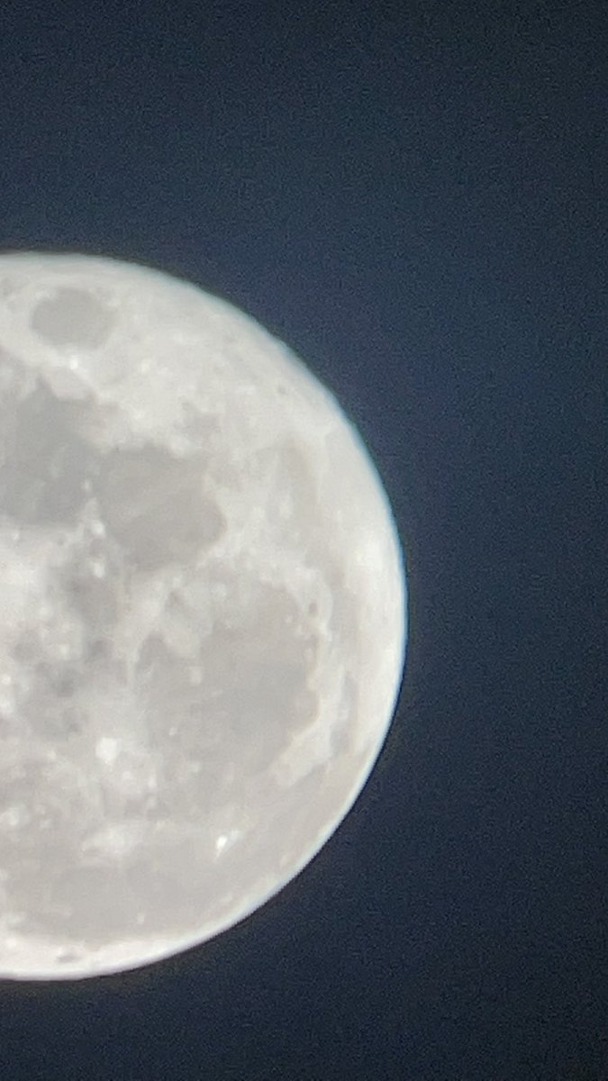 محمدّ tweet media