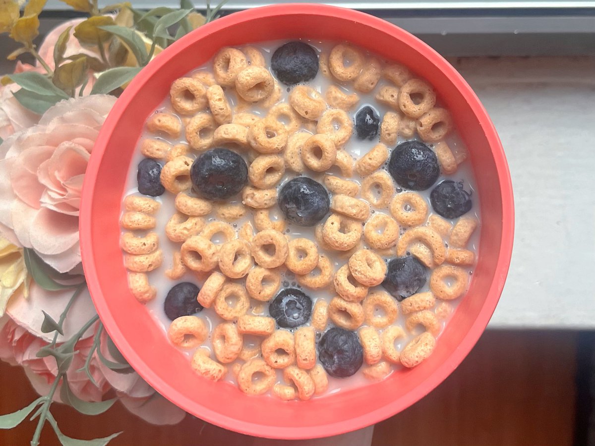 noelle ✧*:･ﾟ tweet media