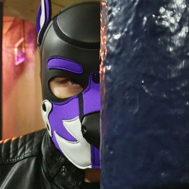 Scruffy Daxx tweet media