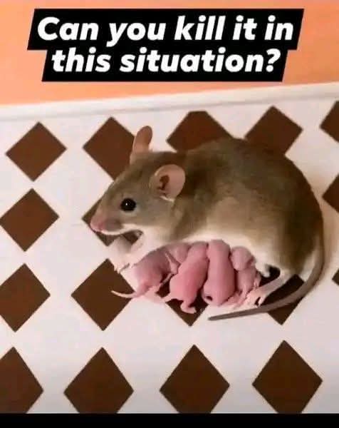 Kristina Bolten tweet media