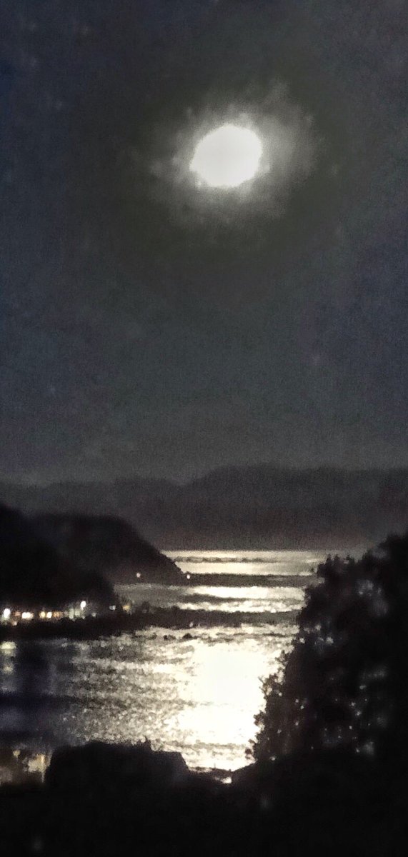 Peter456's tweet photo. Moon last night lighting up Island Bay https://t.co/F1MKyxelPb